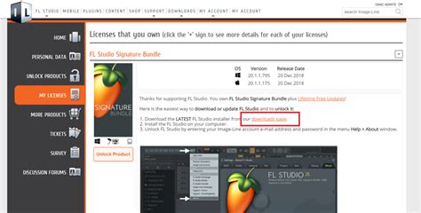 fl studio 21 registry file download|Can I add the FLRegkey.Reg file to the Windows Registry .
